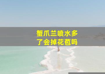 蟹爪兰喷水多了会掉花苞吗