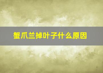 蟹爪兰掉叶子什么原因