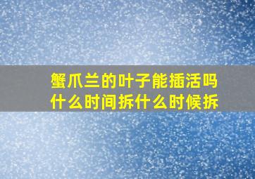 蟹爪兰的叶子能插活吗什么时间拆什么时候拆