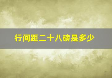 行间距二十八磅是多少