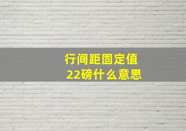 行间距固定值22磅什么意思