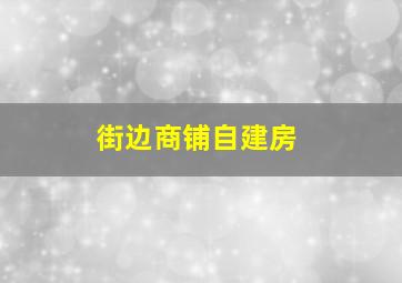 街边商铺自建房