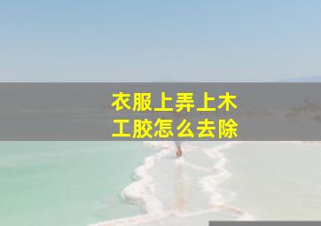 衣服上弄上木工胶怎么去除