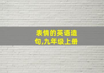 表情的英语造句,九年级上册