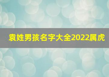 袁姓男孩名字大全2022属虎