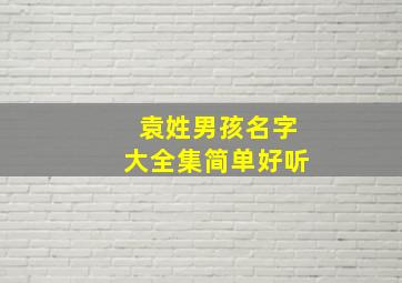 袁姓男孩名字大全集简单好听