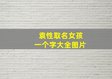 袁性取名女孩一个字大全图片