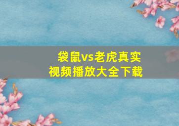 袋鼠vs老虎真实视频播放大全下载