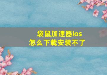 袋鼠加速器ios怎么下载安装不了