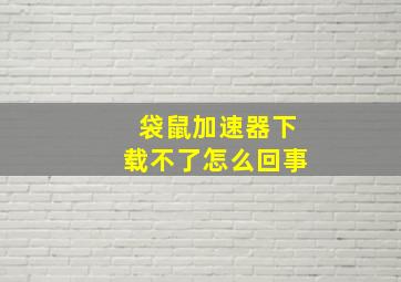 袋鼠加速器下载不了怎么回事