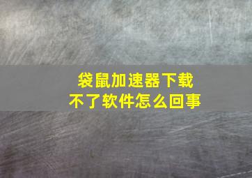 袋鼠加速器下载不了软件怎么回事