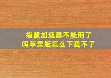 袋鼠加速器不能用了吗苹果版怎么下载不了