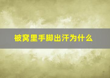 被窝里手脚出汗为什么