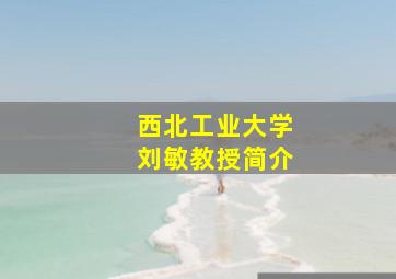 西北工业大学刘敏教授简介