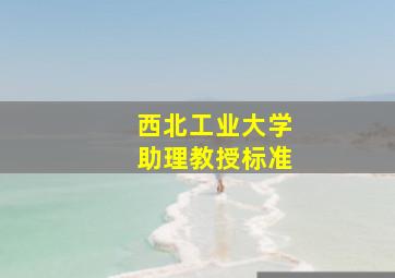 西北工业大学助理教授标准