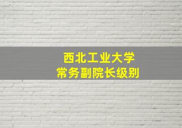 西北工业大学常务副院长级别