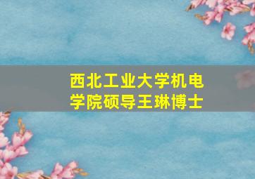 西北工业大学机电学院硕导王琳博士