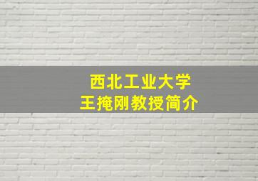 西北工业大学王掩刚教授简介