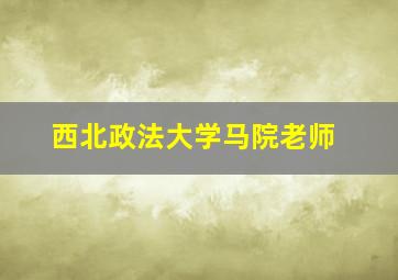 西北政法大学马院老师