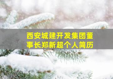 西安城建开发集团董事长郑新超个人简历