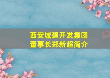 西安城建开发集团董事长郑新超简介