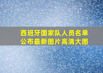 西班牙国家队人员名单公布最新图片高清大图