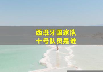 西班牙国家队十号队员是谁