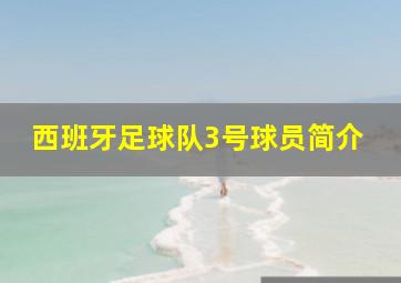 西班牙足球队3号球员简介