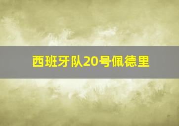 西班牙队20号佩德里