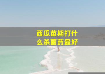 西瓜苗期打什么杀菌药最好