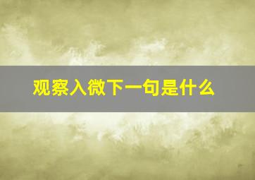 观察入微下一句是什么