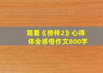 观看《榜样2》心得体会感悟作文800字