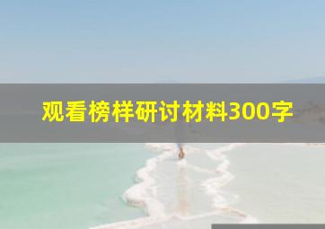 观看榜样研讨材料300字