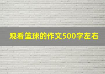 观看篮球的作文500字左右