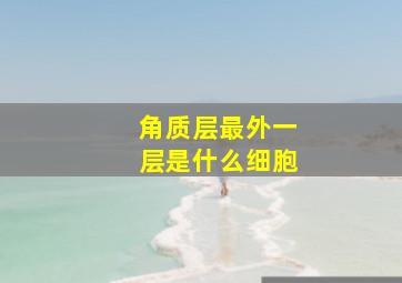 角质层最外一层是什么细胞