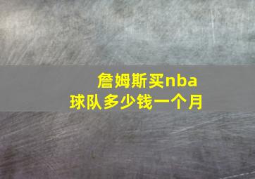 詹姆斯买nba球队多少钱一个月