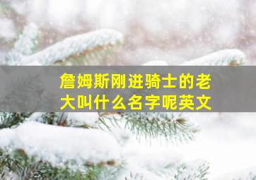 詹姆斯刚进骑士的老大叫什么名字呢英文