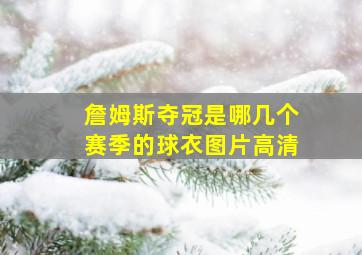 詹姆斯夺冠是哪几个赛季的球衣图片高清