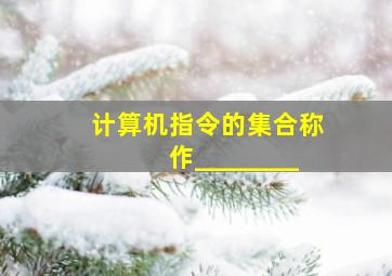 计算机指令的集合称作________