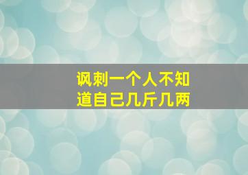 讽刺一个人不知道自己几斤几两