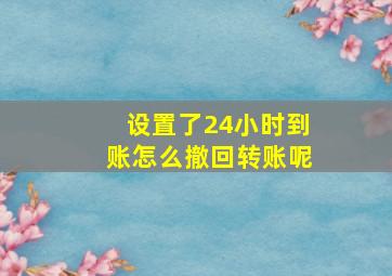 设置了24小时到账怎么撤回转账呢