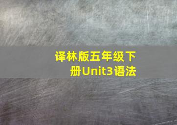 译林版五年级下册Unit3语法