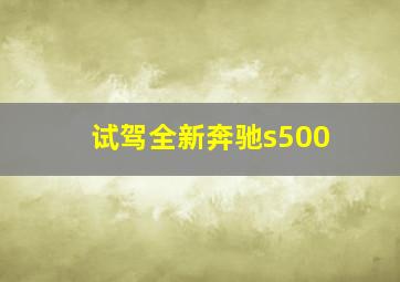 试驾全新奔驰s500