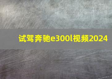 试驾奔驰e300l视频2024