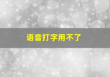 语音打字用不了