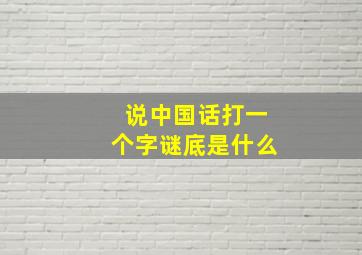 说中国话打一个字谜底是什么