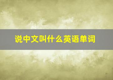 说中文叫什么英语单词