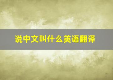 说中文叫什么英语翻译