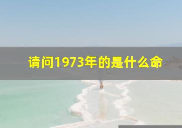 请问1973年的是什么命