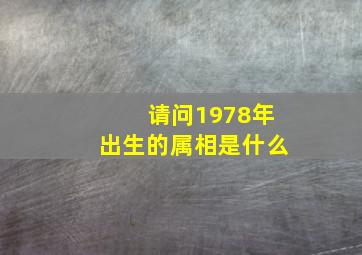 请问1978年出生的属相是什么